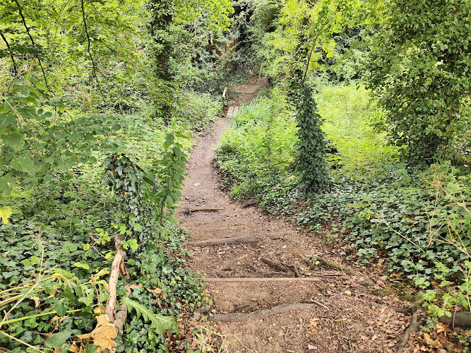 Bruddel Wood