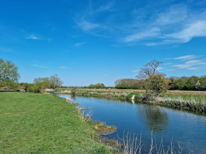 Grantchester Meadows