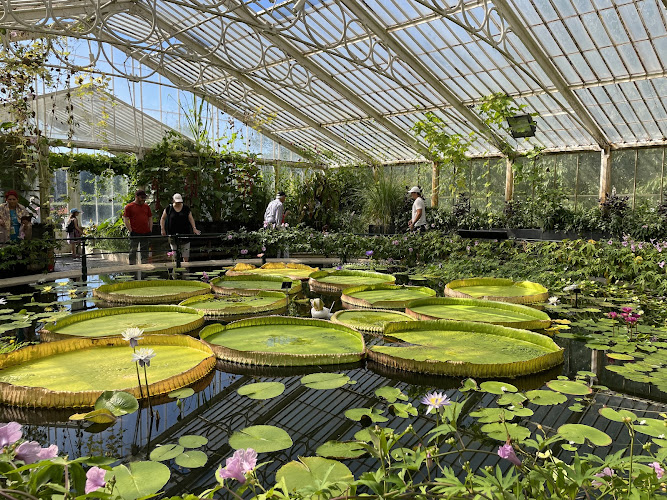 Waterlily House