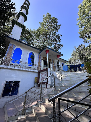 Beani Bazar Thana Jame Mosque