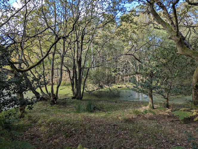 Epping Forest NW