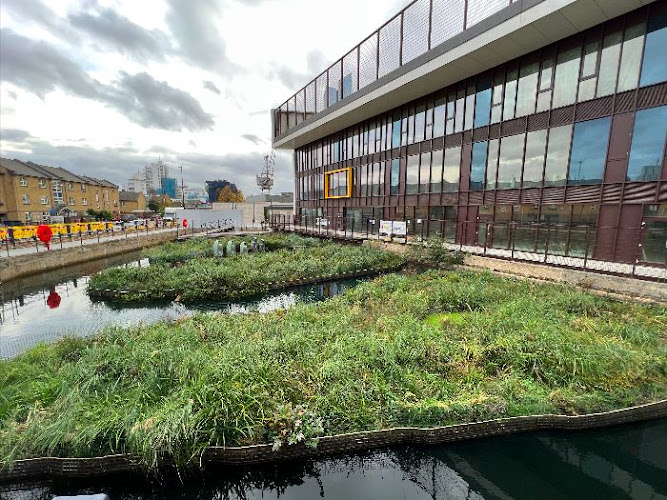 Floating Ecosystems