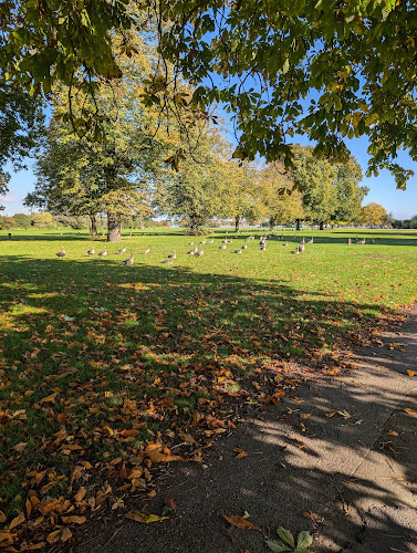 Parsloes Park Community Garden