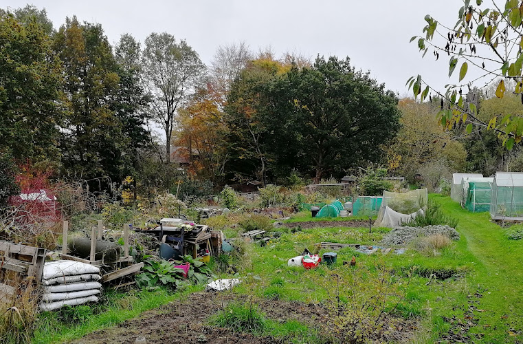 Pullens Lane Allotments