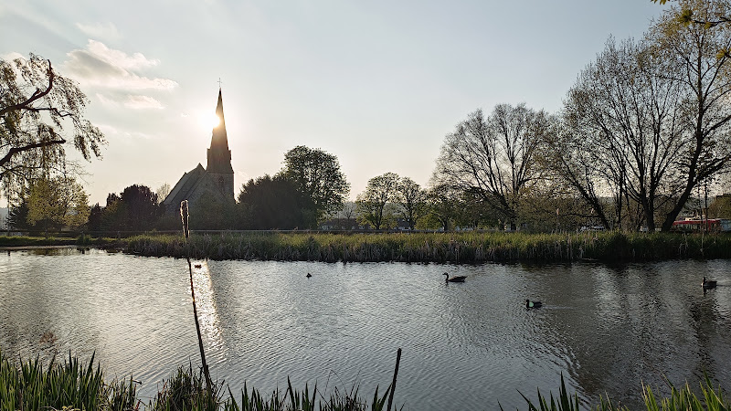 Cross Road Duck Pond