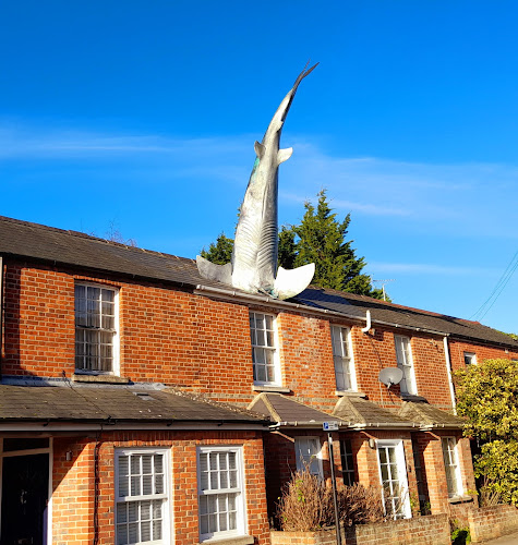 The Headington Shark