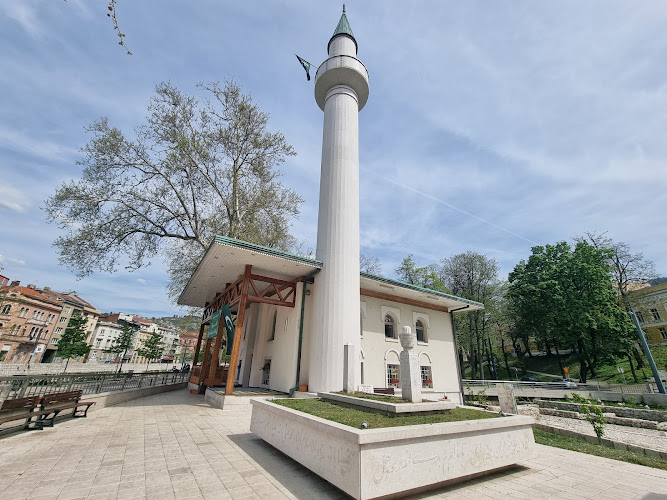 Bakr-babina Džamija
