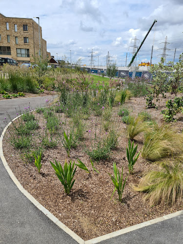 Little Bees Park