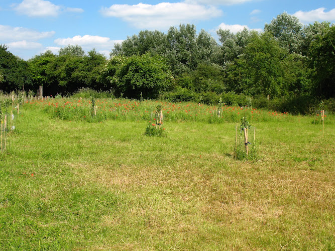 Trumpington Community Orchard