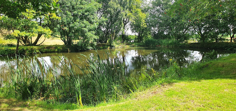 Gorse Farm Equestrian & Events