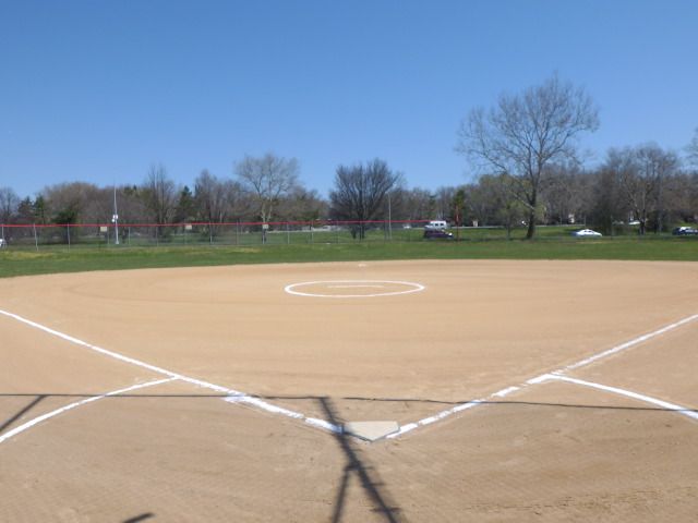 Gemini Fields