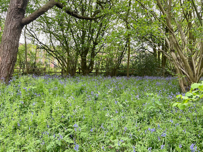 Croft Woods