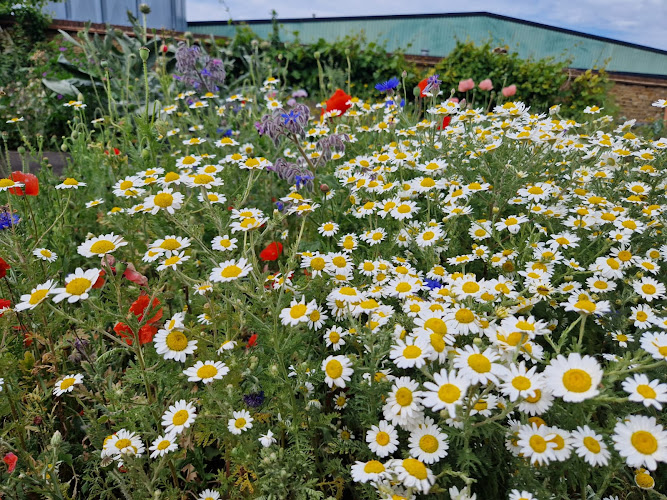 Abbey Gardens