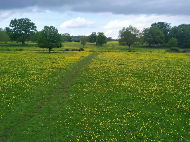 Elgin Coppice
