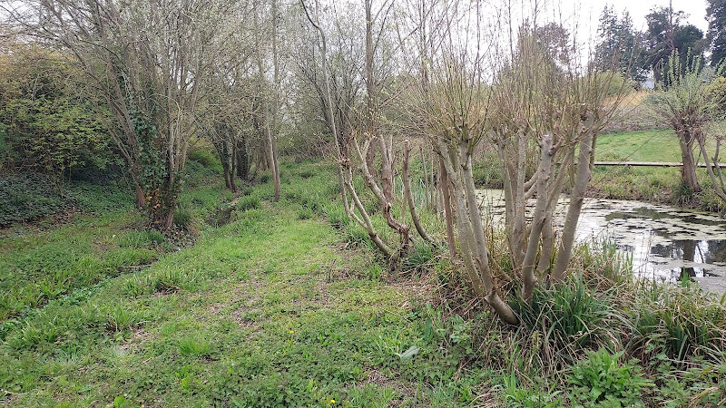 North Hinksey Nature Reserve