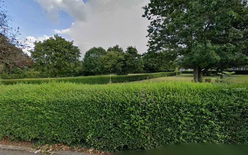 Raisins Hill Common