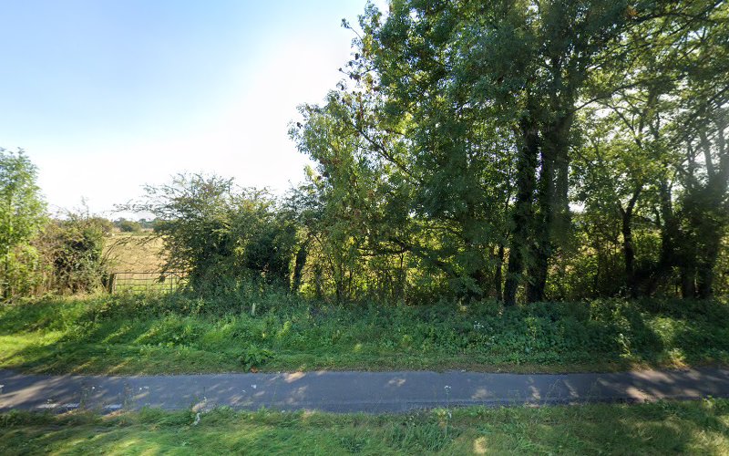 Oxey Meads