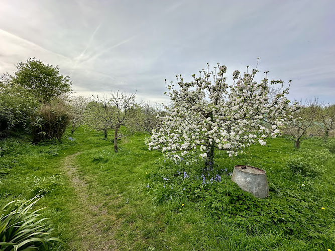 Wolvercote Community Orchard