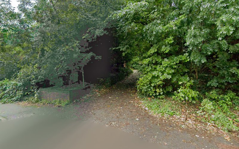 Willow Walk