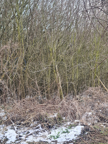 Scrattons Farm Eco Park