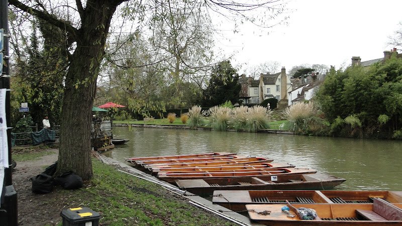 Fellows' Gardens