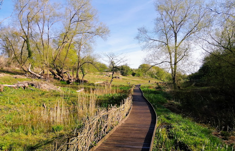 Lye Valley Nature Reserve