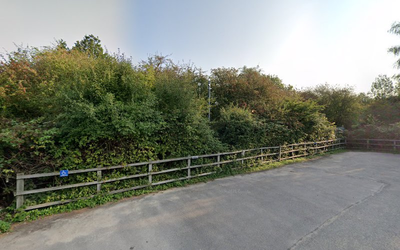 The Dell