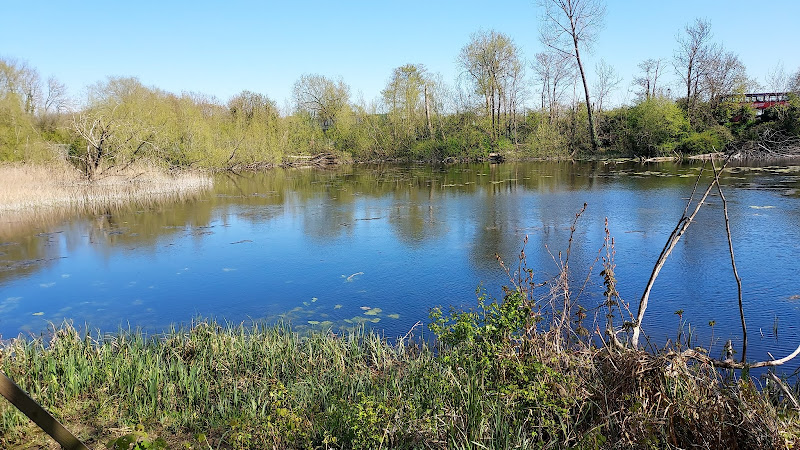 Wolvercote Lakes