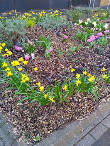 Arbury Court Community Garden