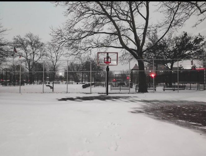 Belmont Playground