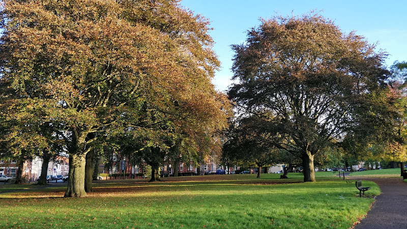 Gosford Green