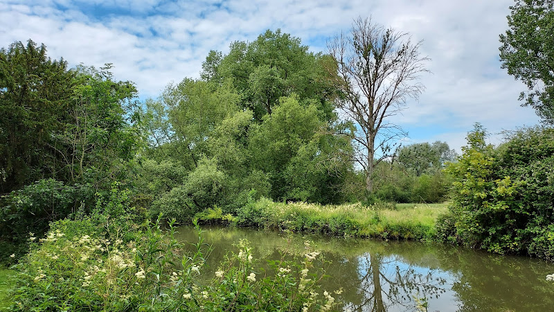 New Marston Meadows