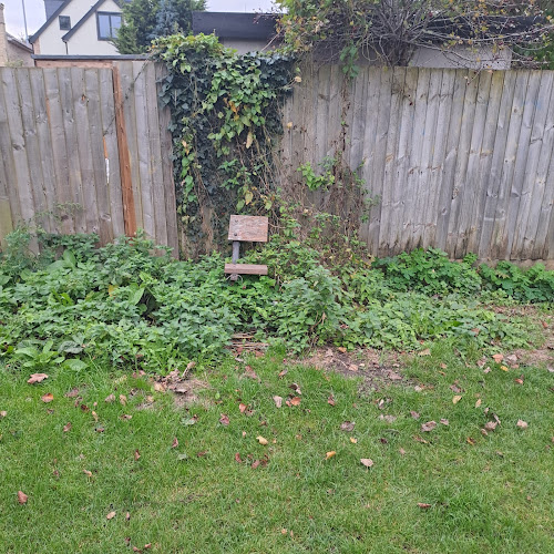 The Bench