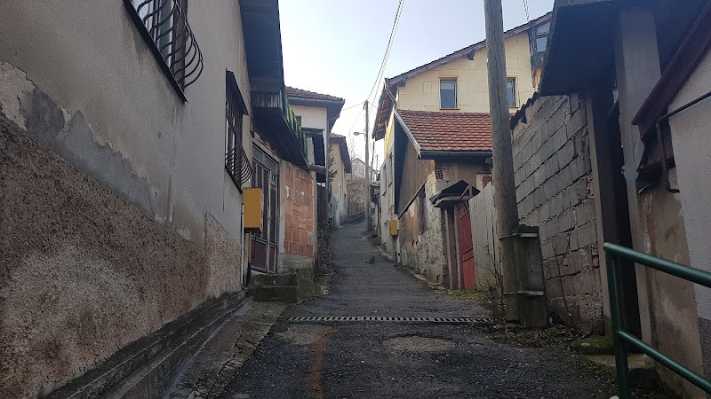 Česma u mahali