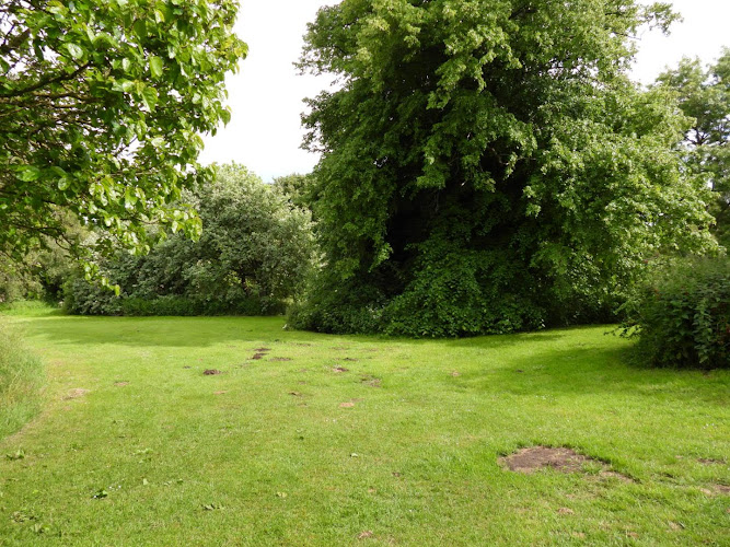 Lawns Park