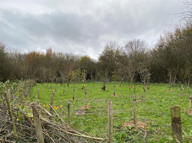 Crossway Community Orchard