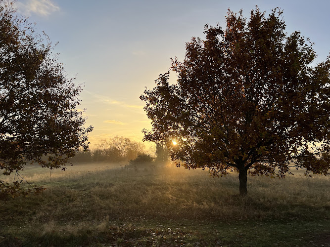 Warneford Meadow