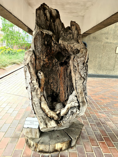 Mendelssohn Tree