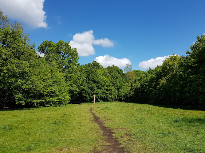 Oak Hill Pond
