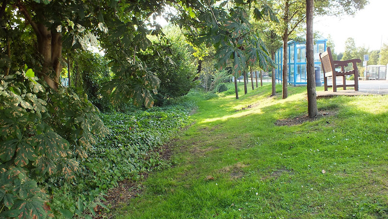 Sandfield Road Park