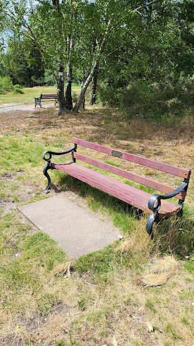 Patrick Graham Bench