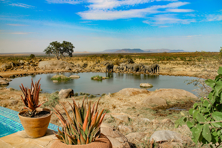 Safarihub