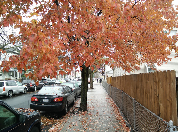 Jhelc of Ozone Park