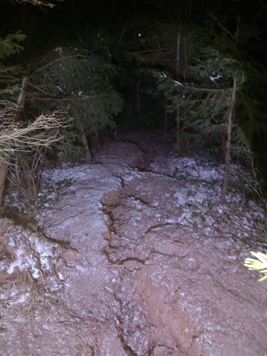 Curine Njive landslide (Klizište Curine Njive)