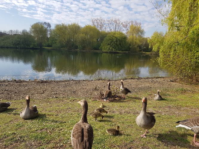 Mayesbrook Park