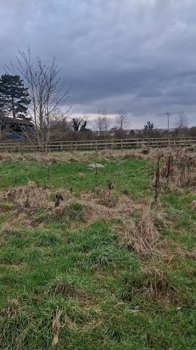 Coate Stone Circle