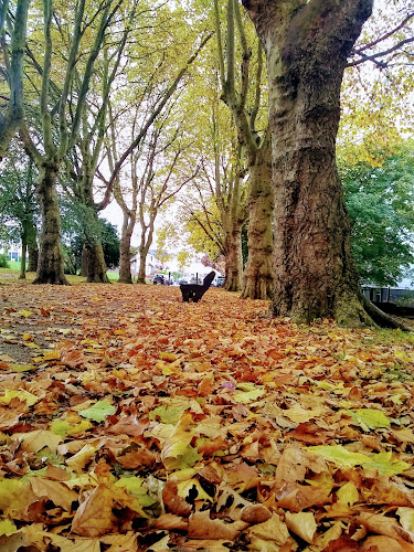 Highgate Park