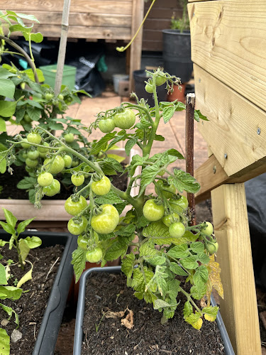 Aldgate Community Garden