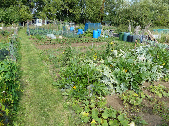 South Ward Allotments