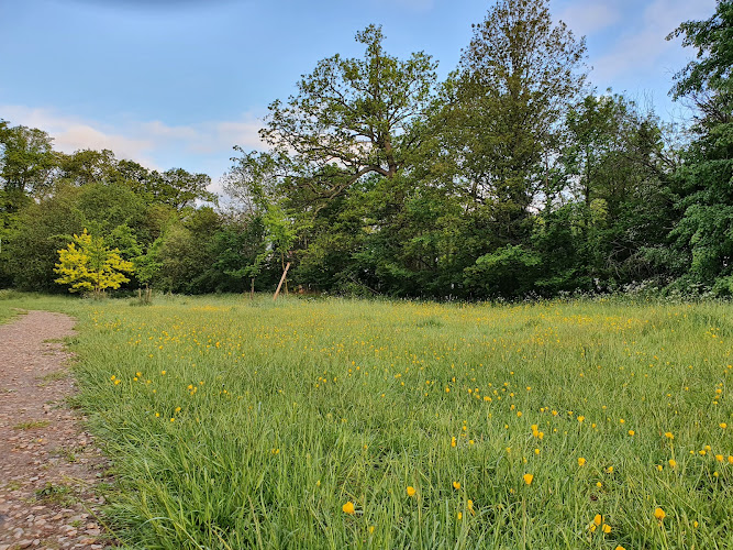 Long Meadow
